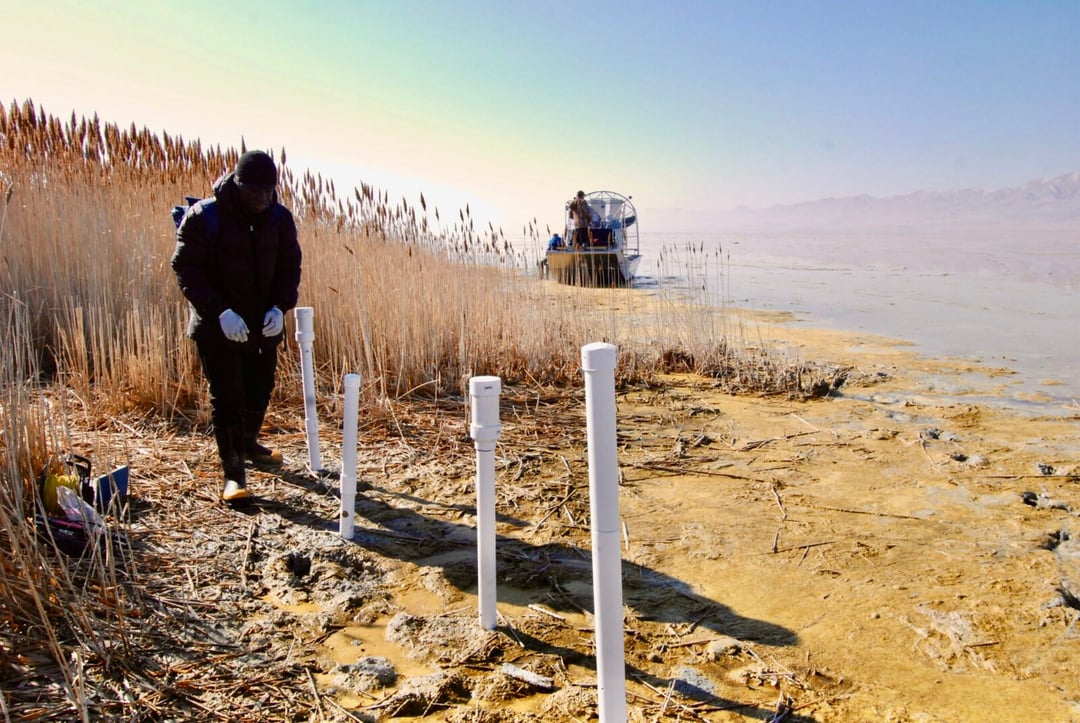 Wielkie Jezioro Słone na ustach naukowców. Wykryli tam dziwne podziemne oazy