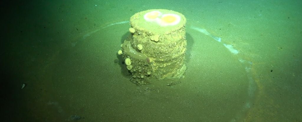 Tysiące beczek na dnie Pacyfiku. Naukowcy odkryli ich zaskakującą zawartość