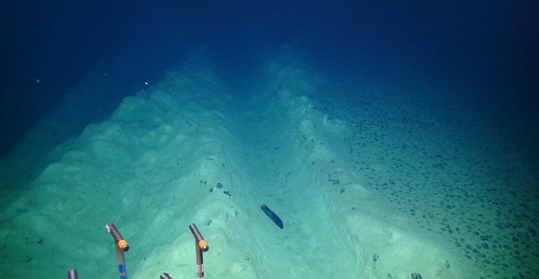 Ślady ludzkiej działalności na dnie oceanu przetrwały 44 lata. Naukowcy są w szoku