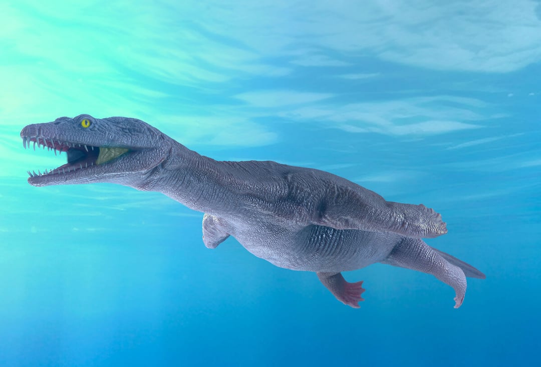 Potwór z triasu odkryty na nowo. Skóra sprzed 240 milionów lat wciąż lśni