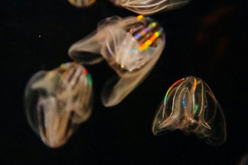Kto był pierwszy na Ziemi? Przełomowe badanie chromosomów ujawnia zaskakującą prawdę
