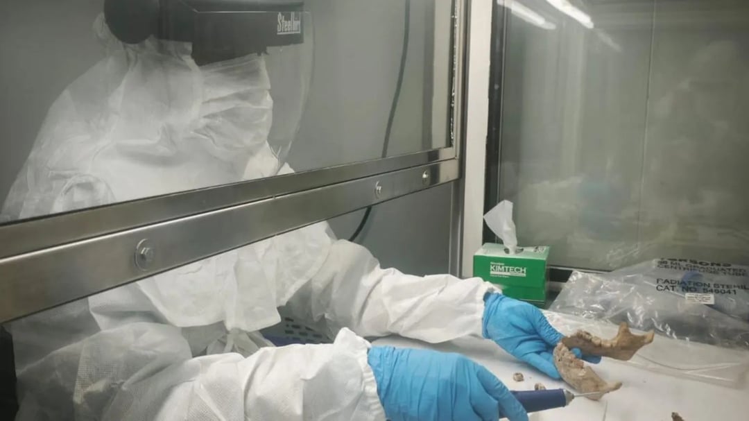 Zaawansowana cywilizacja ukryta przed światem przez wieki. Twarze z Keeladi podważają dominującą narrację historyczną