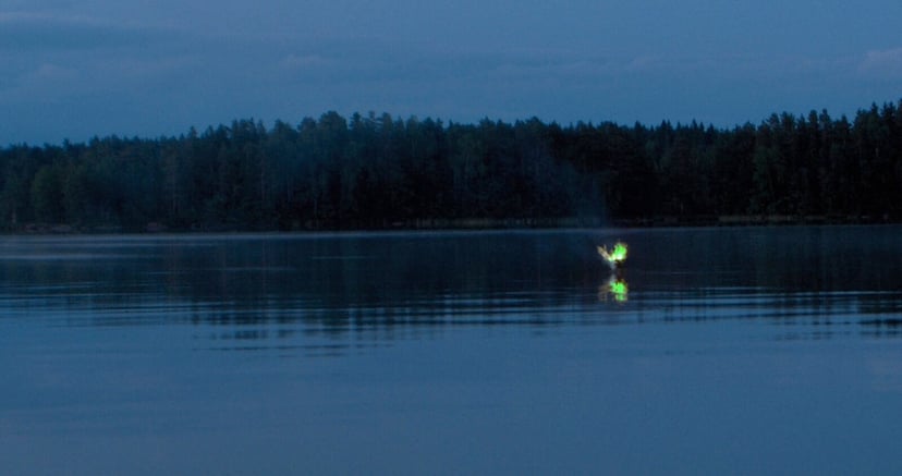 Legendarne światła z bagien przestały być zagadką. Naukowcy odkryli zaskakujący mechanizm ich powstawania