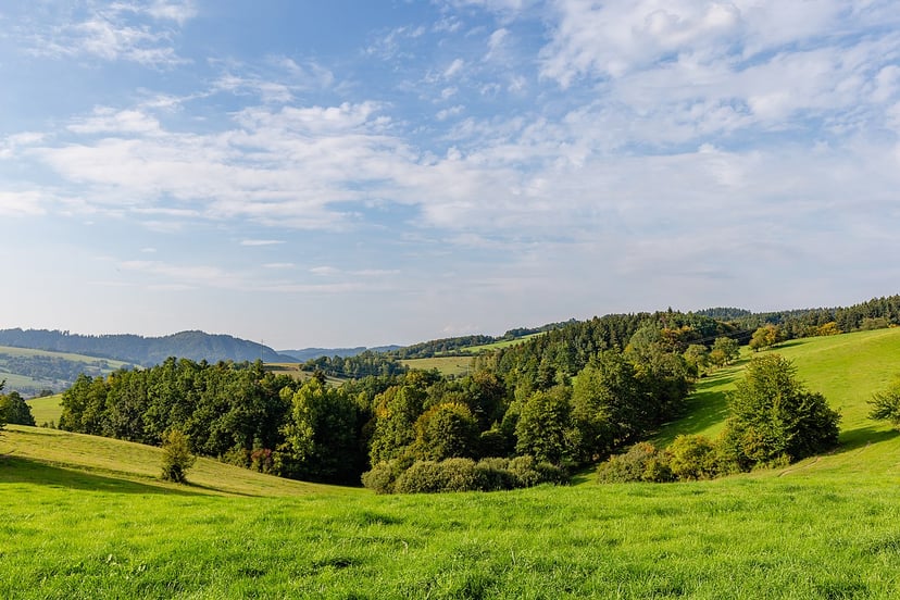 Archeologiczny wyścig z czasem doprowadził do odkrycia prehistorycznej osady w Czechach