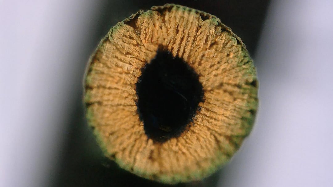 Metale 20 razy wytrzymalsze niż dotychczas. Sekret tkwi w ich “hodowli”