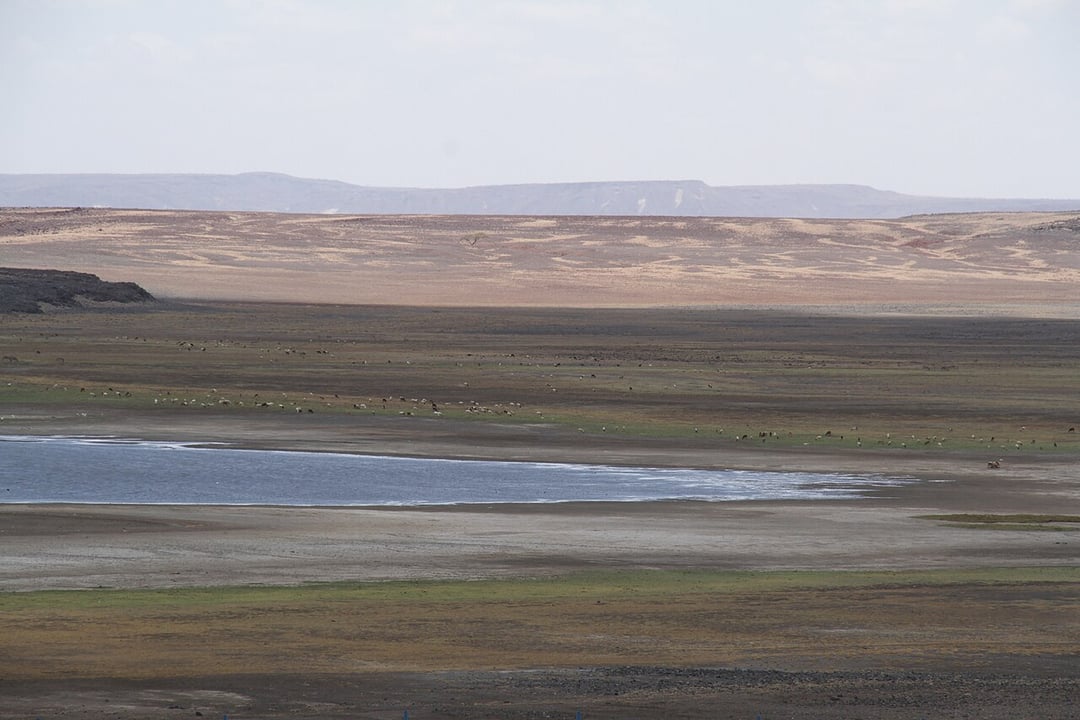 Homo erectus i Paranthropus boisei na tej samej ziemi. Przełomowe odkrycie rzuca nowe światło na ewolucję człowieka