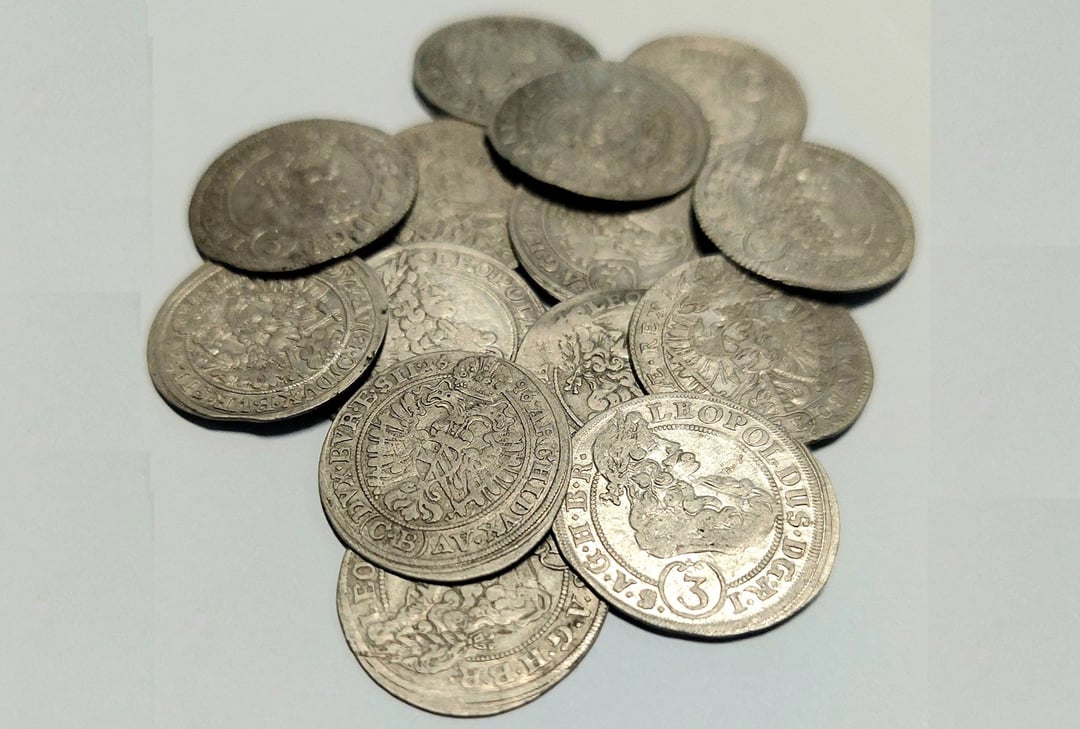 5000 monet pod Hrubieszowem. Skarb sprzed wieków ma niebywałą przeszłość