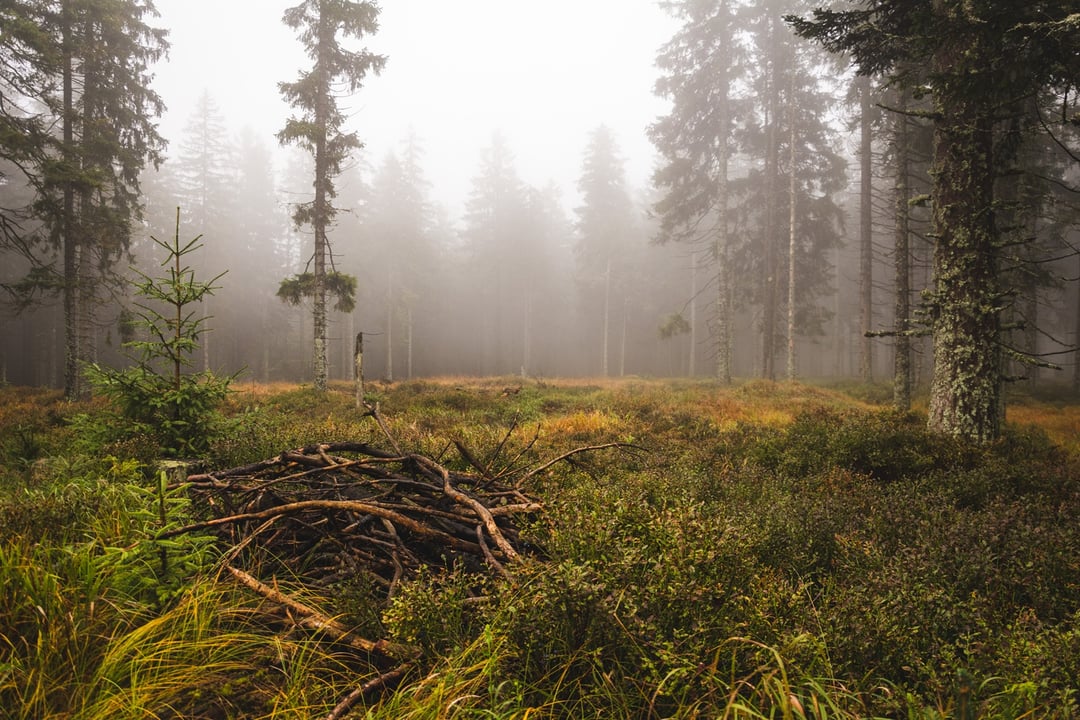 Wykrywacz metali odsłonił tysiącletni sekret. Pogański rytuał sprzed chrystianizacji zaskakuje archeologów