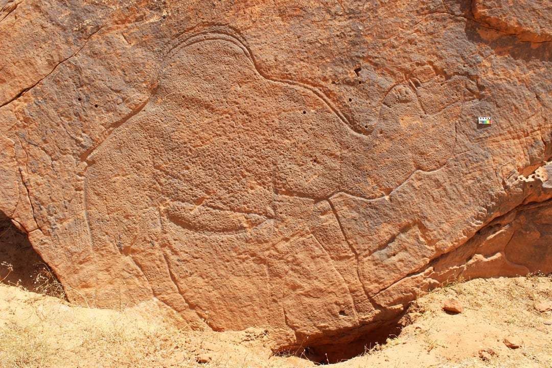 Tajemnice pustyni Nefud wyrzeźbione w skałach. Odkryto niezwykły system nawigacyjny sprzed 12 tysięcy lat