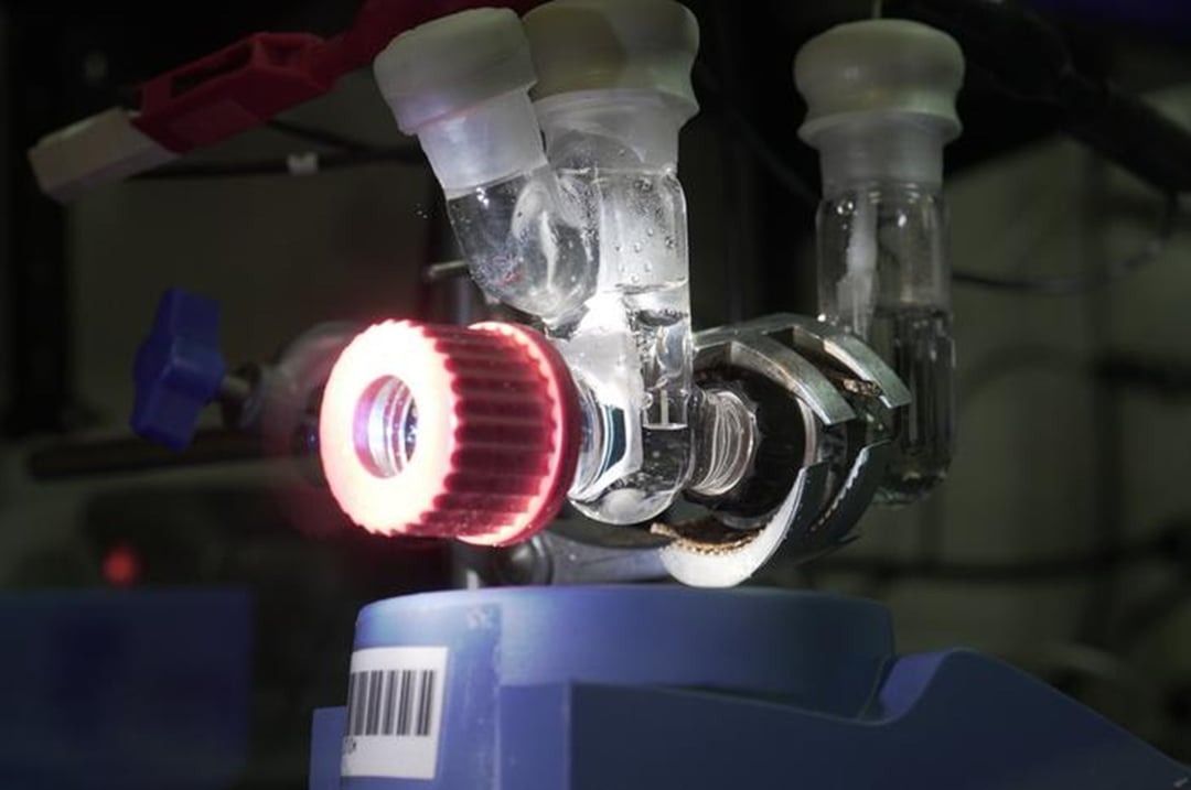 Naukowcy stworzyli liść który pracuje lepiej niż prawdziwy. Ta technologia może być odpowiedzią na kryzys klimatyczny