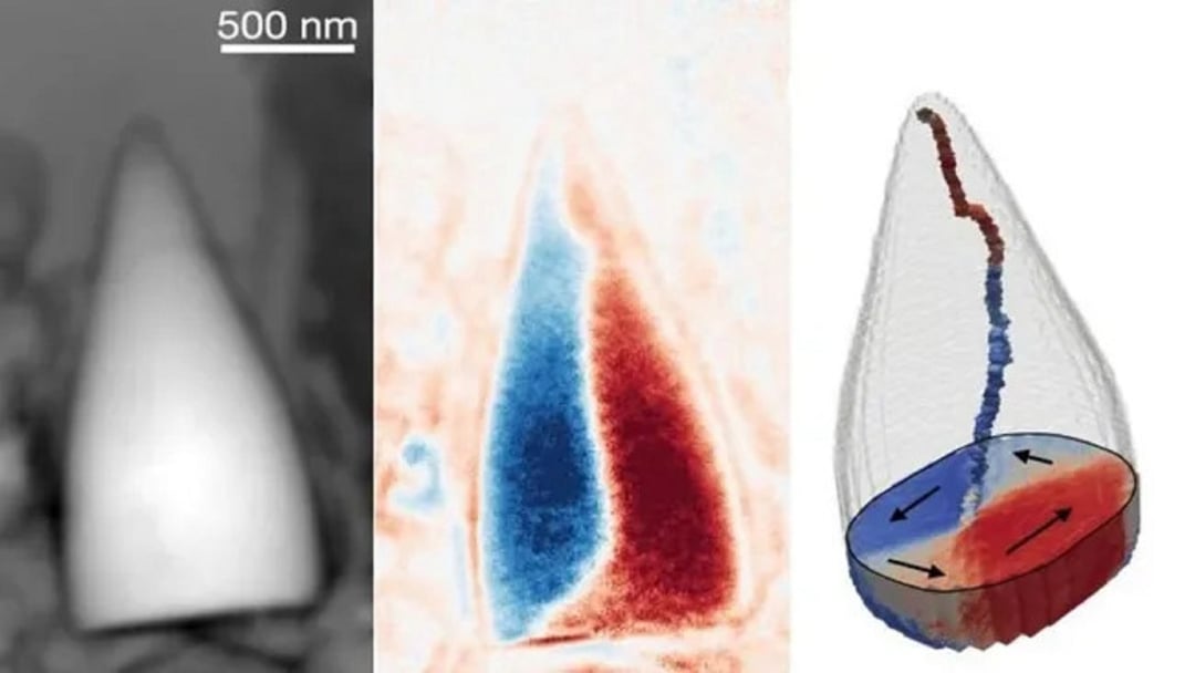 Mikroskopijne struktury sprzed 97 milionów lat lepsze niż GPS. Naukowcy odkryli biologiczny system nawigacji