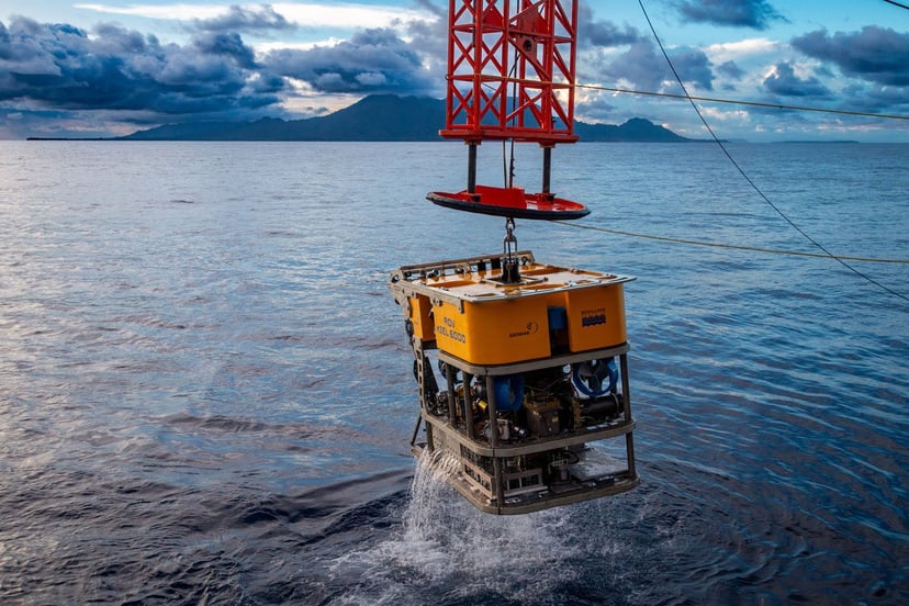 Oceaniczna anomalia u wybrzeży Papui Nowej Gwinei. Zdalnie sterowane łodzie weszły w kontakt z tamtejszym życiem
