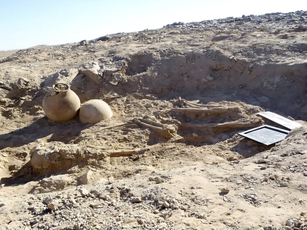 Starożytny władca i nieznany dotąd rytuał pogrzebowy odkryty w Sudanie. Polscy archeolodzy natrafili na coś, co nie pasuje do żadnych znanych wzorców