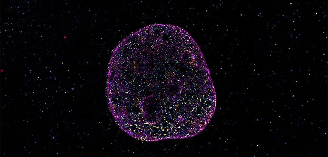 DNA ma ukryty kod geometryczny. Drugi język życia odkryty przez naukowców