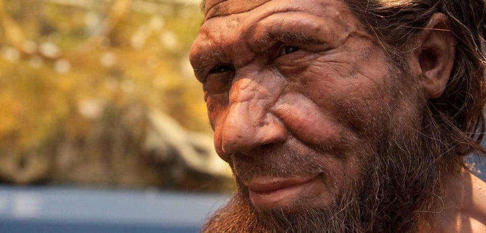 Zaglądając do wnętrza nosa sprzed tysięcy lat. Naukowcy rozwiązali zagadkę twarzy neandertalczyka