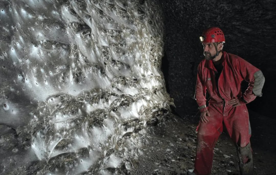 Odkryto największą pajęczynę świata w mrocznej jaskini. Dwa wrogie gatunki pająków stworzyły coś niesamowitego