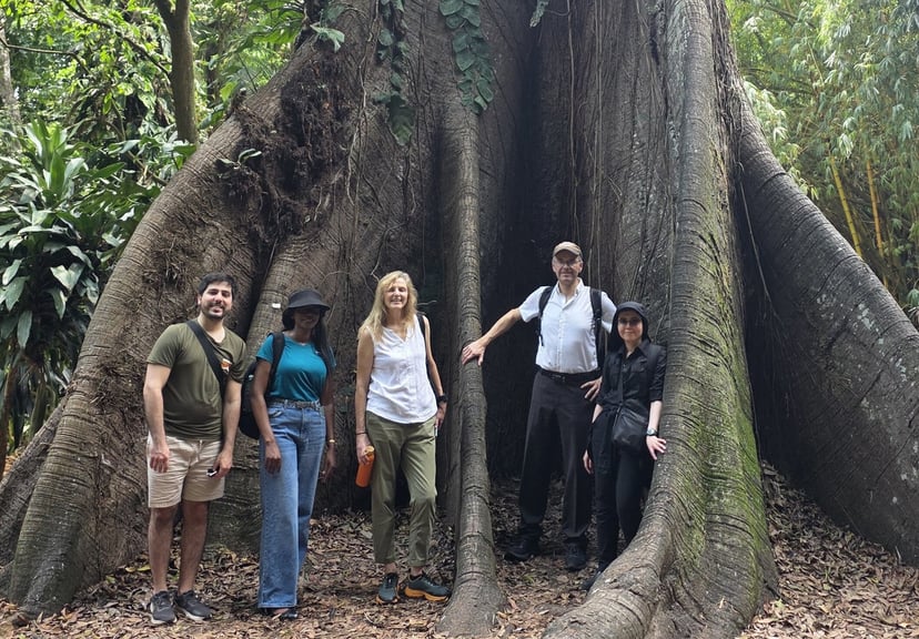 Afrykańskie lasy wykonały całkowity zwrot. Zamiast pochłaniać CO2, zaczęły go emitować