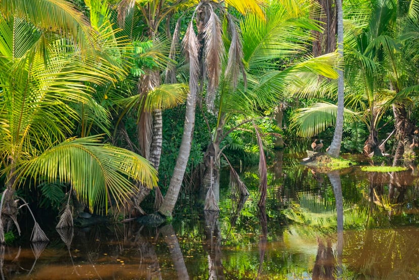 Skamieniałości wewnątrz skamieniałości. W odległej jaskini doszło do odkrycia, jakiego świat jeszcze nie widział