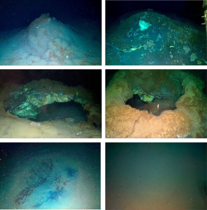 Oczekiwali mrocznej pustki, a znaleźli rozwinięty ekosystem. Najgłębsze złoże hydratów gazowych pod arktycznym dnem