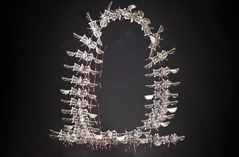 Sztuczna inteligencja nauczyła się latać jak owad. Efekt przeszedł najśmielsze oczekiwania