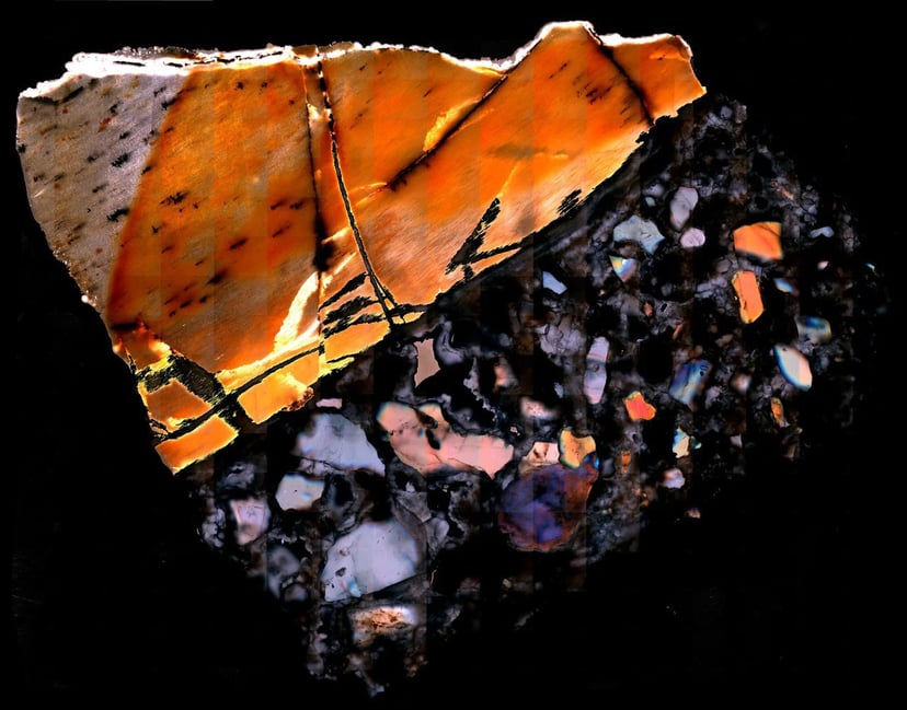 Badacze wydobyli metabolity ze szczątków liczących miliony lat. To gigantyczny przełom w badaniu skamieniałości