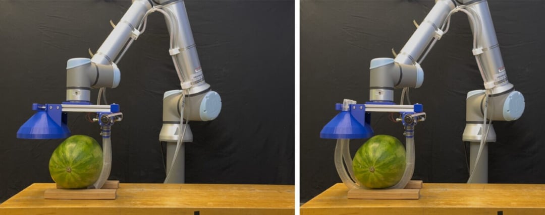 Inżynierowie z MIT i Stanford opracowali „robo-wąsy”, które podnoszą ludzi i przedmioty z niezwykłą delikatnością