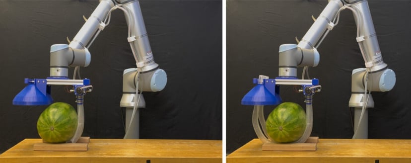 Inżynierowie z MIT i Stanford opracowali „robo-wąsy”, które podnoszą ludzi i przedmioty z niezwykłą delikatnością