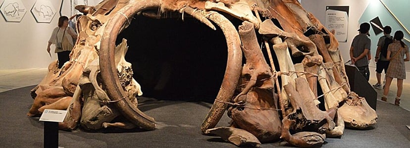 Schronienia z kości mamutów na Ukrainie. Uczeni przeprowadzili datowanie i ujawnili nieznane informacje