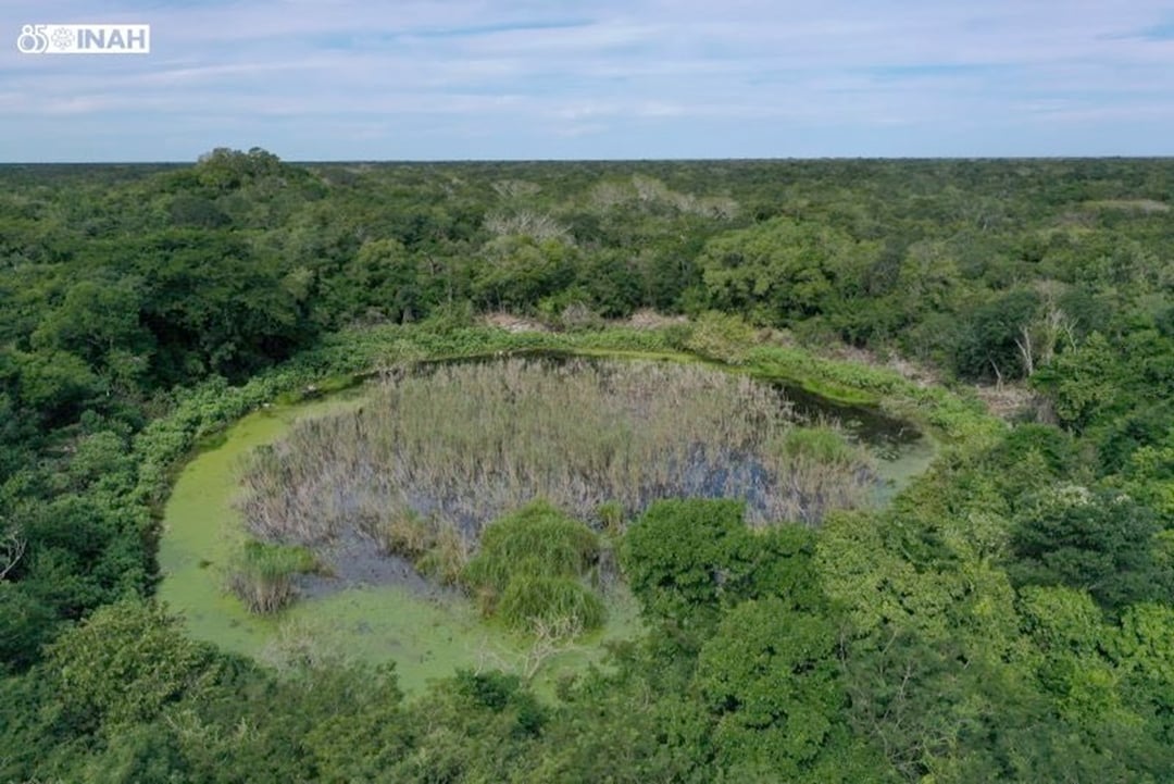 Pod dżunglą Jukatanu skrywała się nieznana metropolia stworzona przez Majów