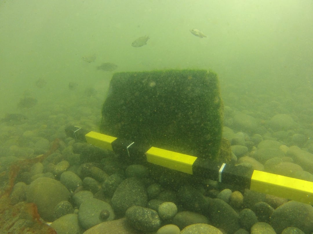 Archeolodzy odkryli podwodne dziedzictwo Inków. Kamienne mury i obiekty na dnie morza