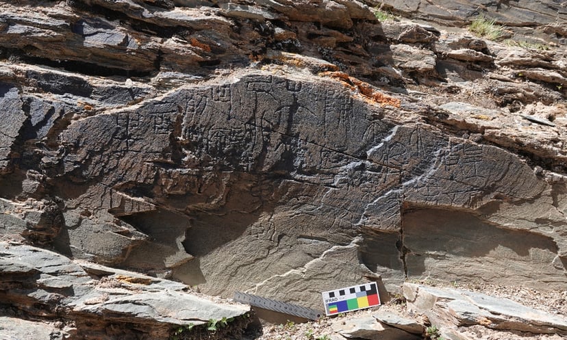 Inskrypcja z dynastii Qin znaleziona w Tybecie. Niezwykły artefakt zawiera sekret władcy sprzed tysięcy lat