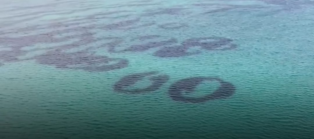 Tajemnicze kręgi zostały po raz pierwszy sfilmowane u wybrzeży Szkocji