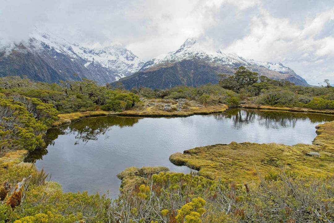 Jaskinia w Nowej Zelandii to kapsuła czasu sprzed miliona lat. W środku znaleziono pradawne organizmy