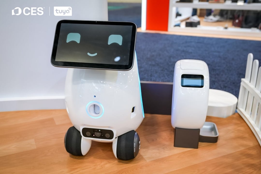 Robot Aura. Kiedy sztuczna inteligencja zaczyna dbać o emocje Twojego kota