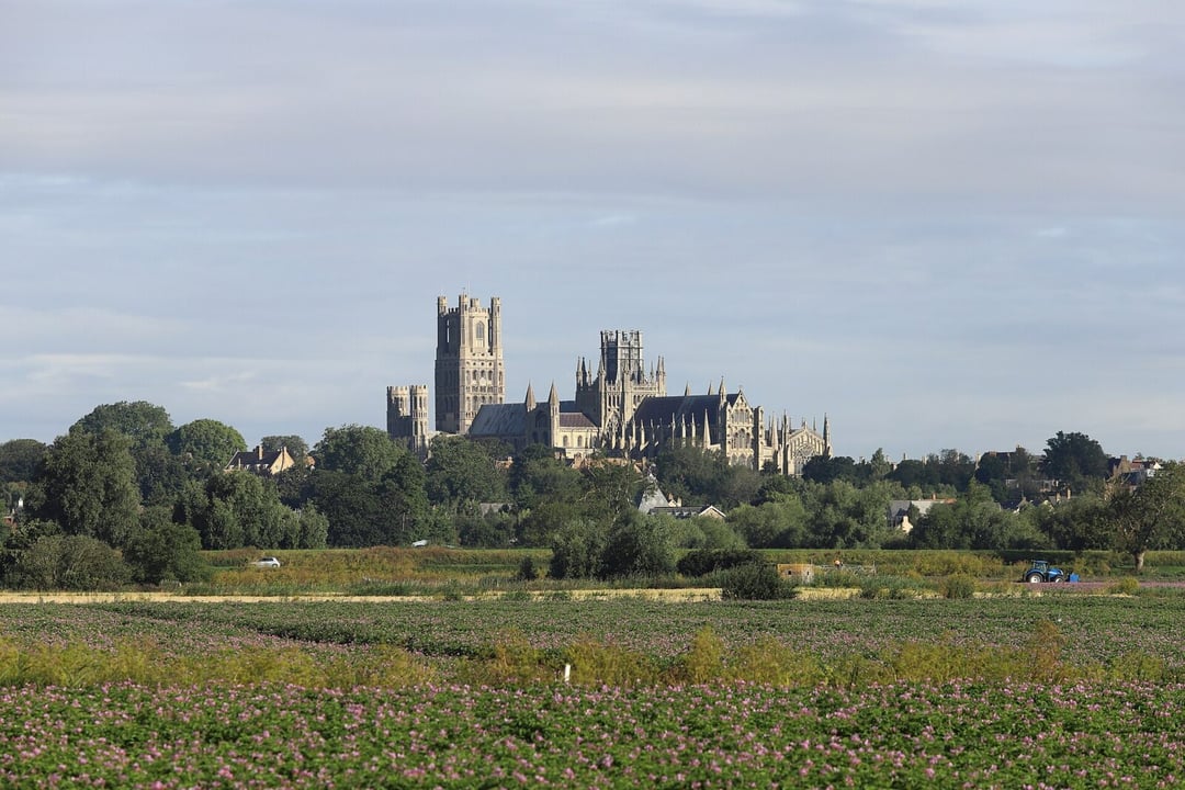 Masowy grób wikingów zawiera szczątki olbrzyma. Przed śmiercią zrobili coś z jego czaszką