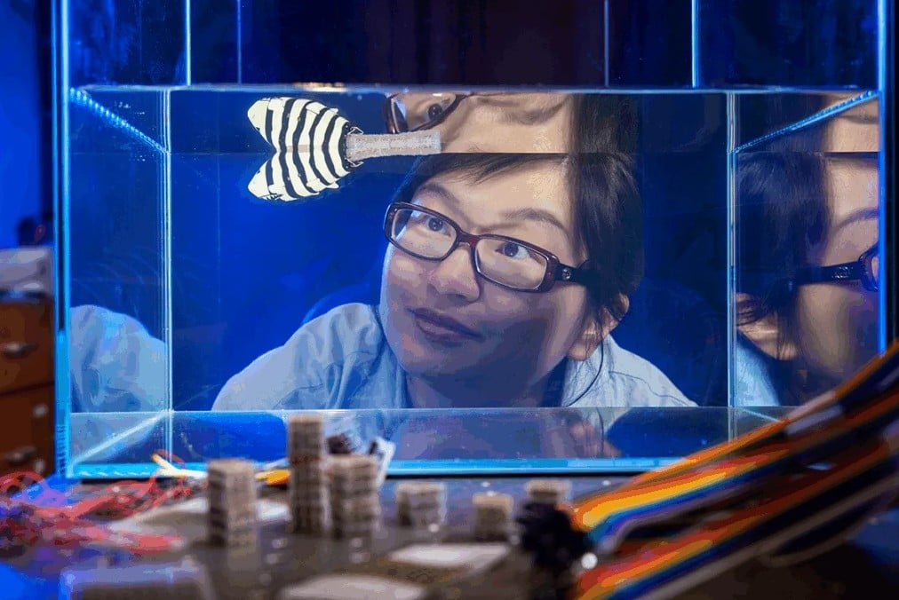 Programowalne „klocki” z Duke University. Materiał, który zmienia charakter na żądanie