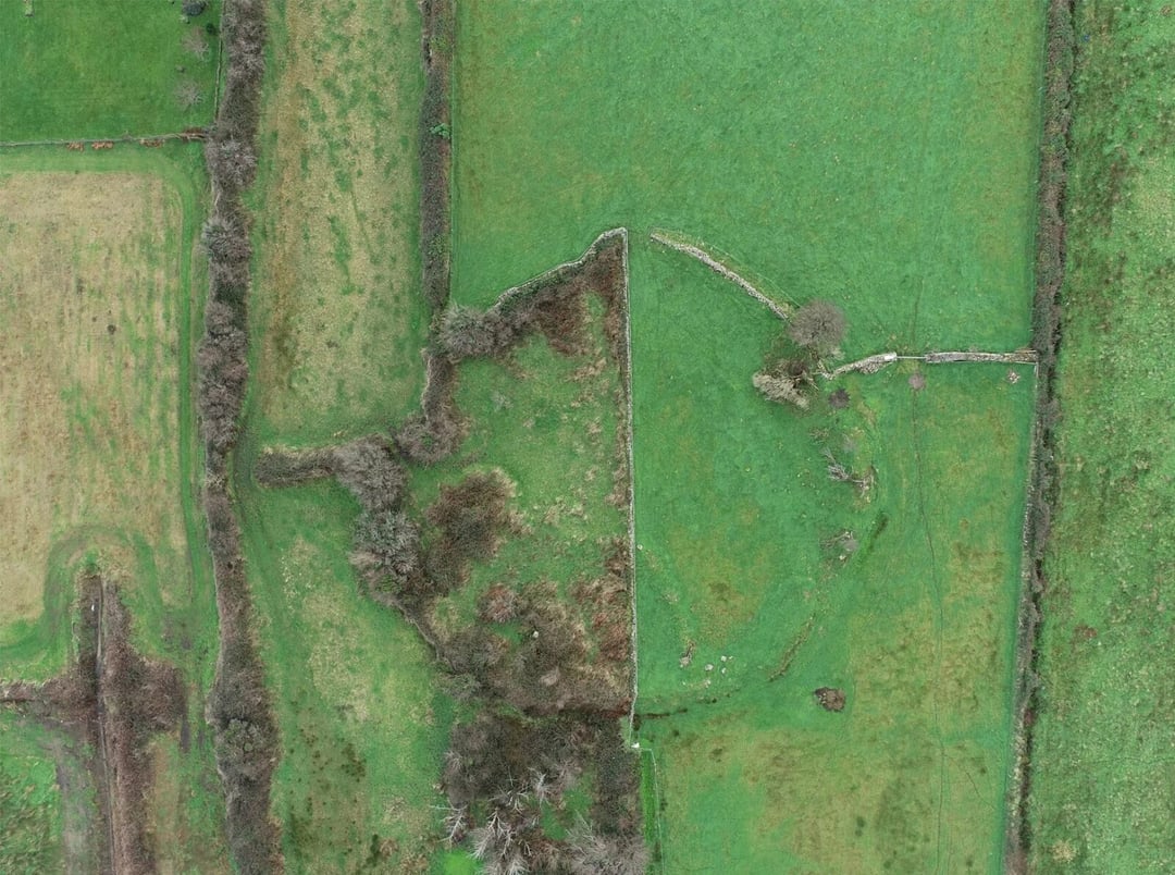 Irlandzkie opowieści ludowe odsłoniły zapomniane miejsca pochówku dzieci