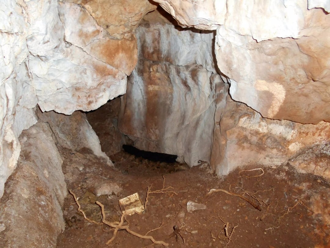 Jaskinia z Wysp skrywała prehistoryczne DNA. Naukowcy odczytali je po 11 000 lat