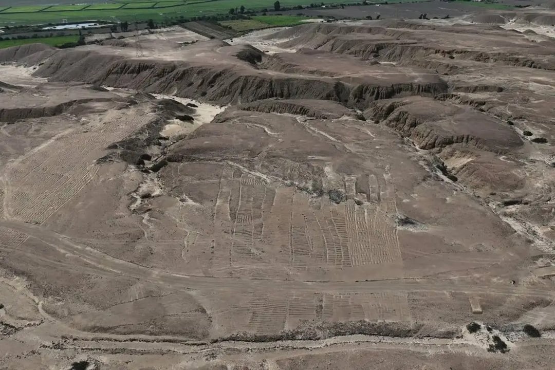 Sensacyjne odkrycia w peruwiańskiej dolinie. Rozległy kompleks świątynny i rysunki widoczne z nieba