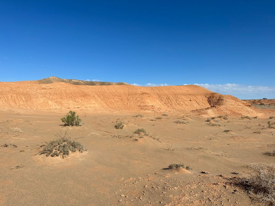 Chiński zielony mur przyniósł poważne konsekwencje. Satelity odsłaniają paradoks masowego sadzenia drzew