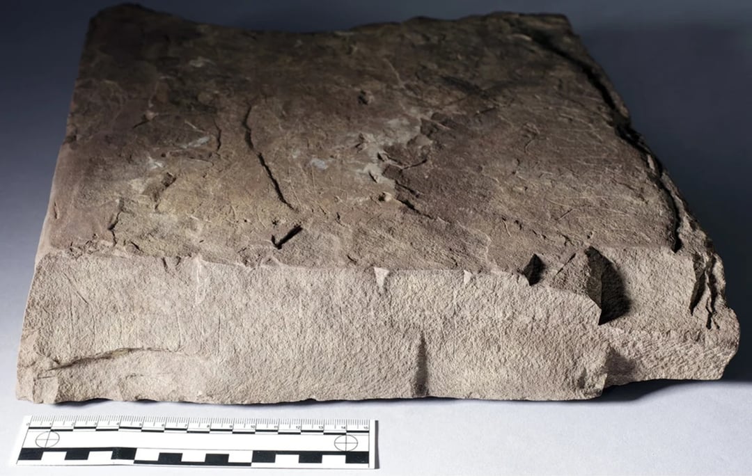 Kamień runiczny ze Skandynawii przepisuje początki pisma. Badania ujawniły treść dawnych zapisków