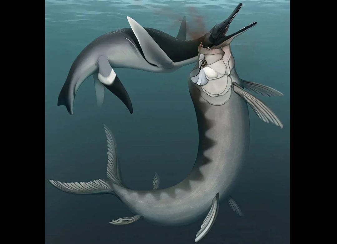 Scena jak z Parku Jurajskiego. Szczątki sprzed milionów lat to pozostałość po starciu dwóch bestii