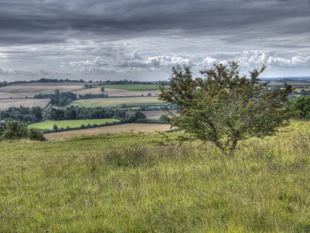 Polak odnalazł na Wyspach tajemniczy pierścień. Niezrozumiałe runy stawiają naukowców w kropce