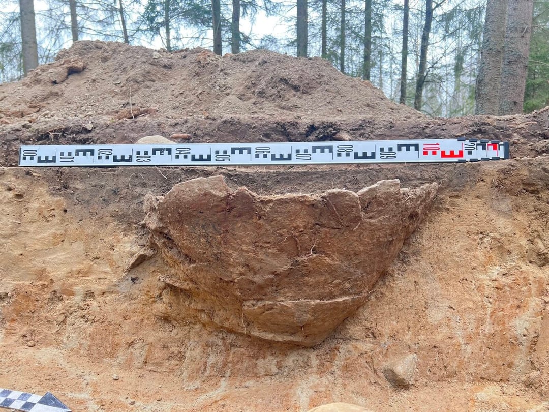 Wielkie odkrycia w sercu puszczy. Polscy archeolodzy nie spodziewali się, co tam znajdą