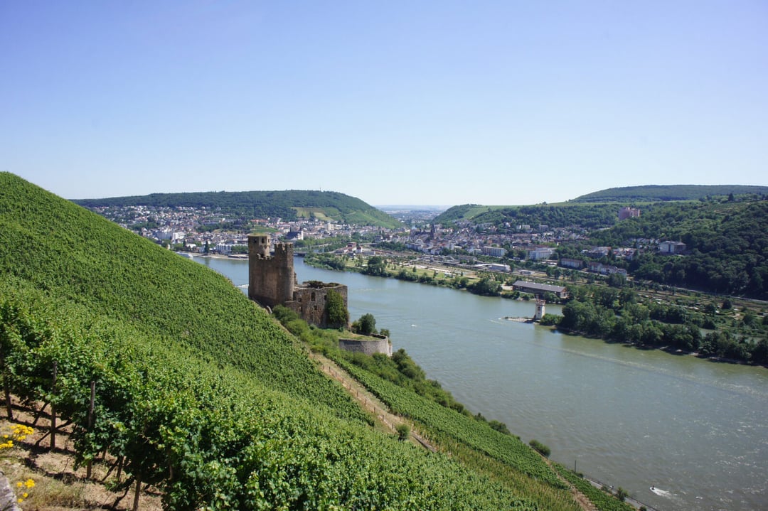 Autostrada, jakiej możemy pozazdrościć nawet 2000 lat później. Archeolodzy odkryli w Niemczech niezwykły szlak 