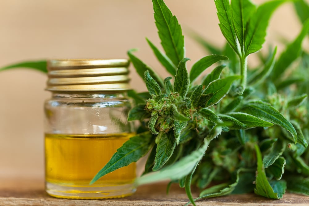 Marihuana leczy raka? Amerykańscy urzędnicy na wojnie z producentami ponad 25 produktów