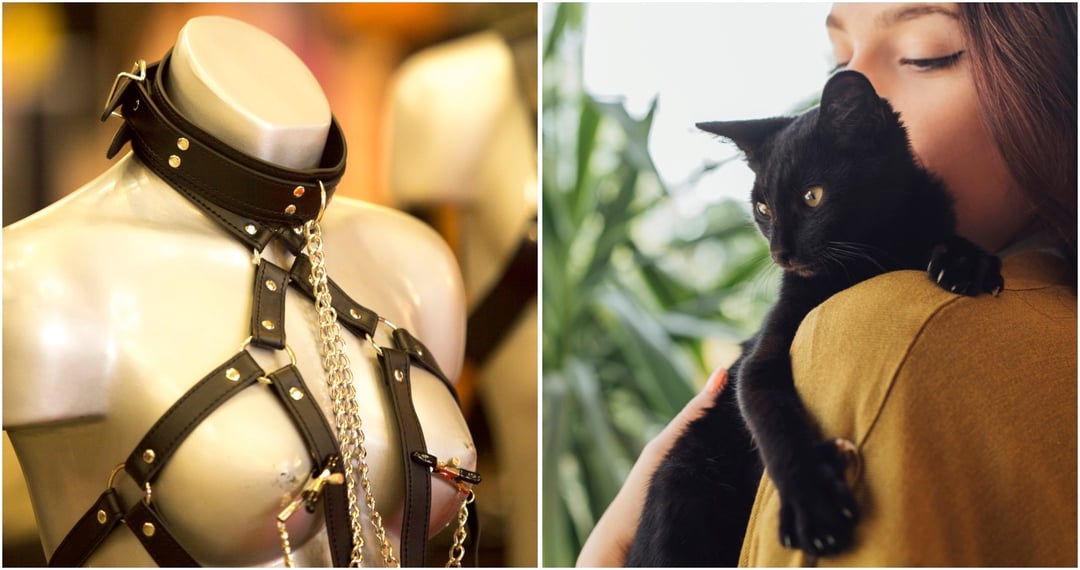 Kochasz koty? Prawdopodobnie kręci cię… BDSM. Naukowo potwierdzony związek