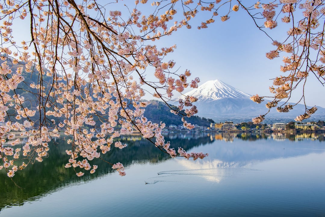 Japończycy zaniepokojeni. W ciągu 30 lat czeka ich monstrualne trzęsienie ziemi
