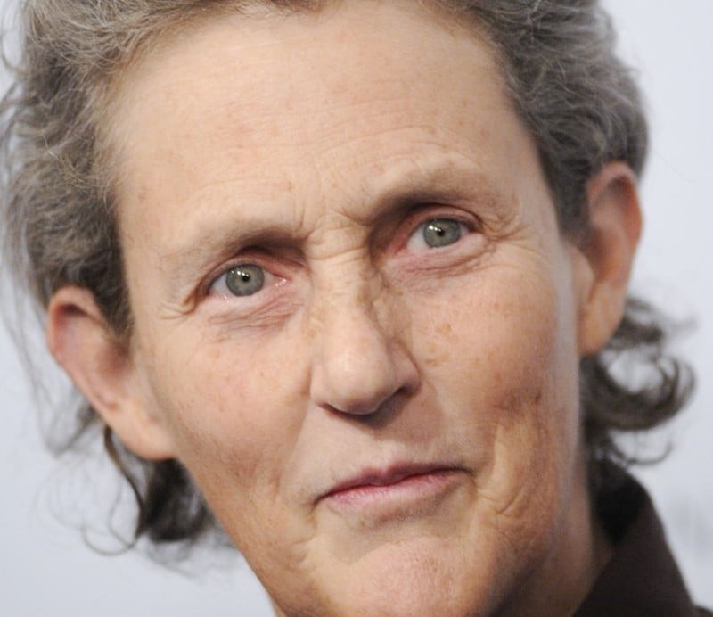 Mimo ciężkiego autyzmu pokazała światu swój geniusz.  „Mój umysł działa jak internetowa wyszukiwarka”