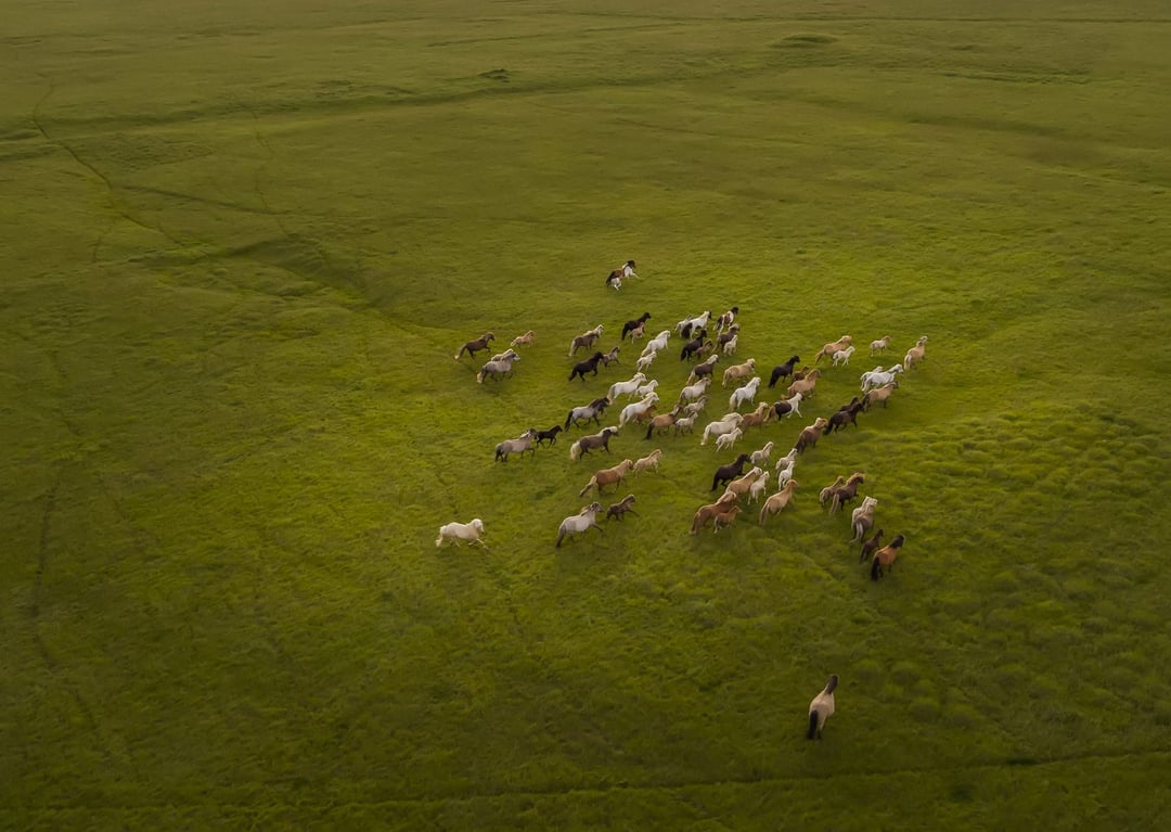Sami ściągnęliśmy na siebie nowe wirusy. Naukowcy: wyzyskując Matkę Naturę